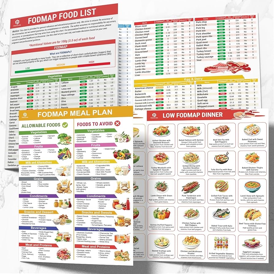 Set Of 2 Fodmap Chart Laminated Low Fodmap Diet List Of Foods Printable Fodmap Food Brochure Fodmap Diet Book For Beginners IBS Symptom Relief Food List Optimizing The Elimination Diet Brochure 