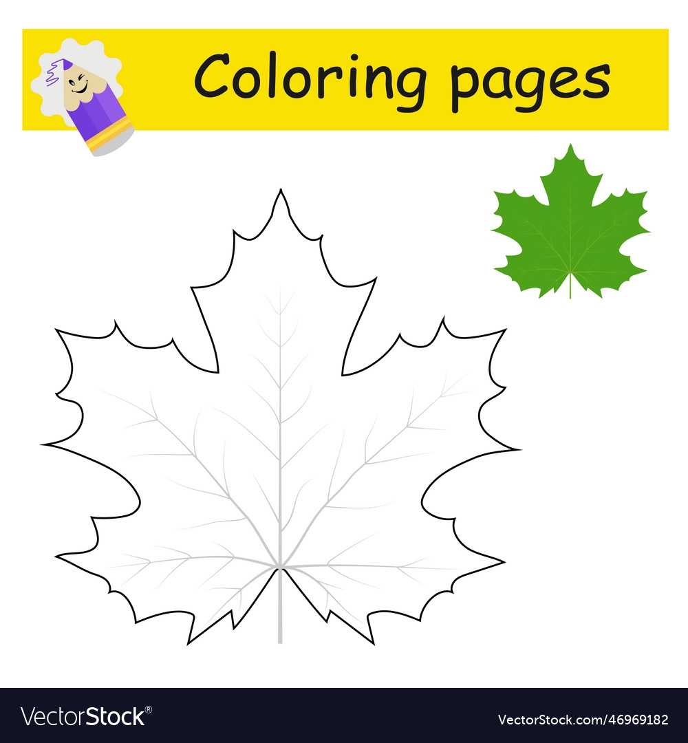 Coloring Pages Cartoon Maple Leaf Royalty Free Vector Image