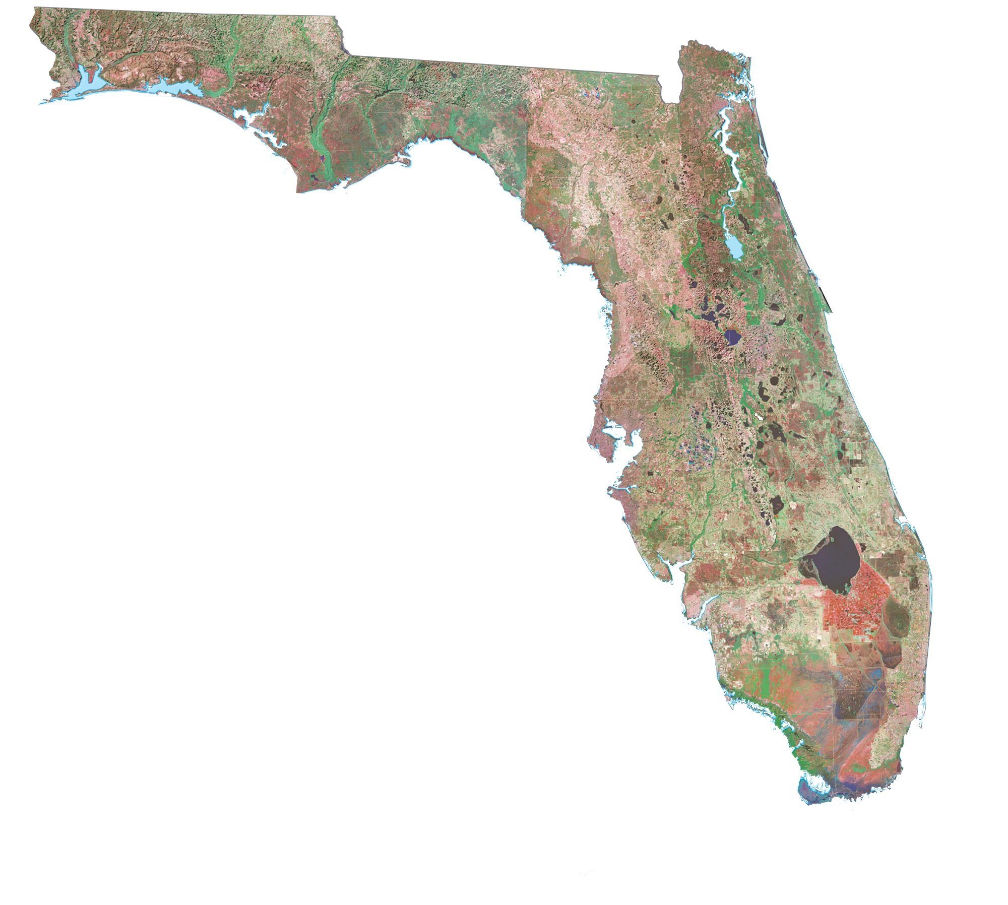 Printable Florida County Map