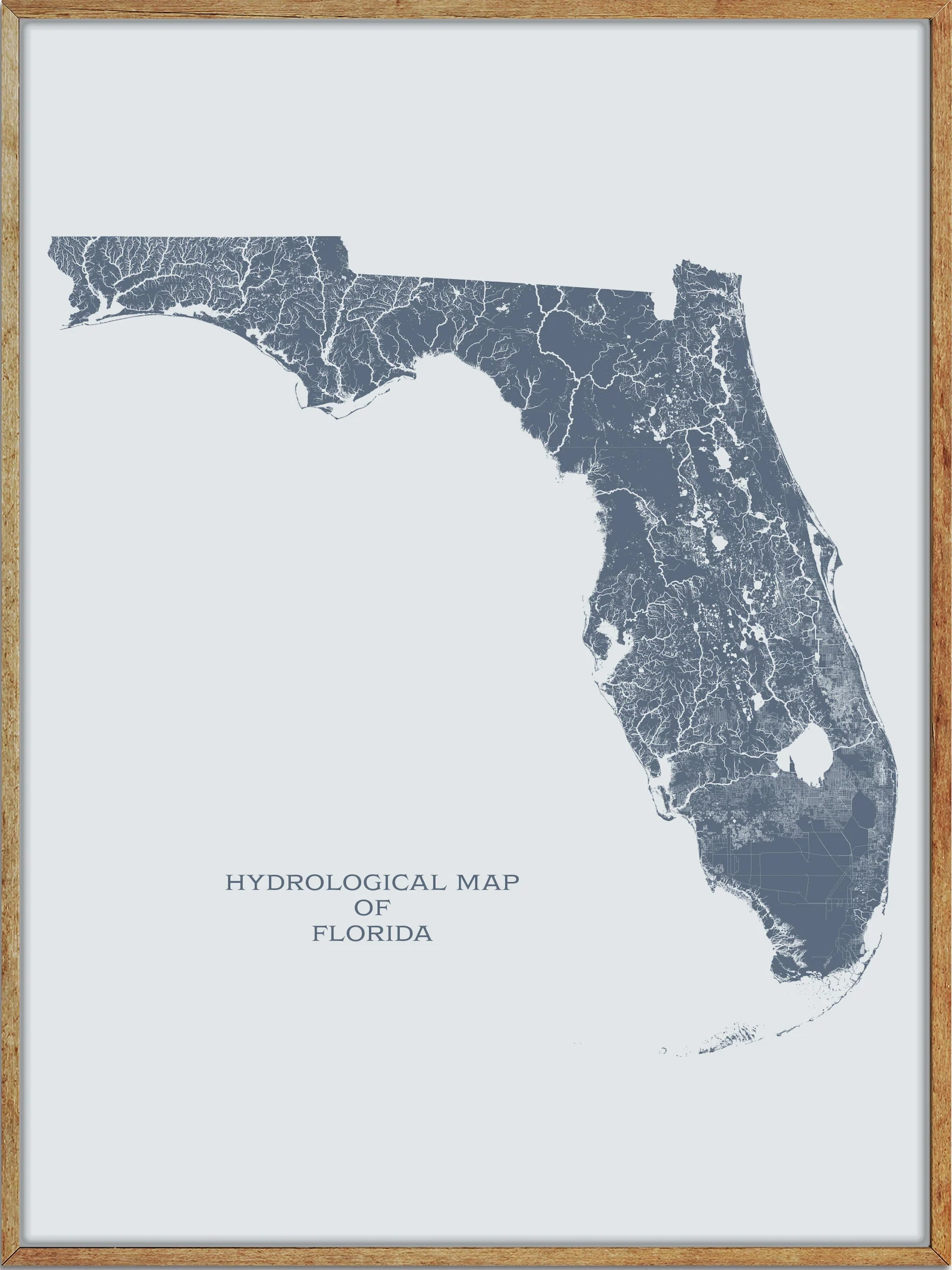 Florida Lakes And Rivers Map Charting Aquatic Adventures