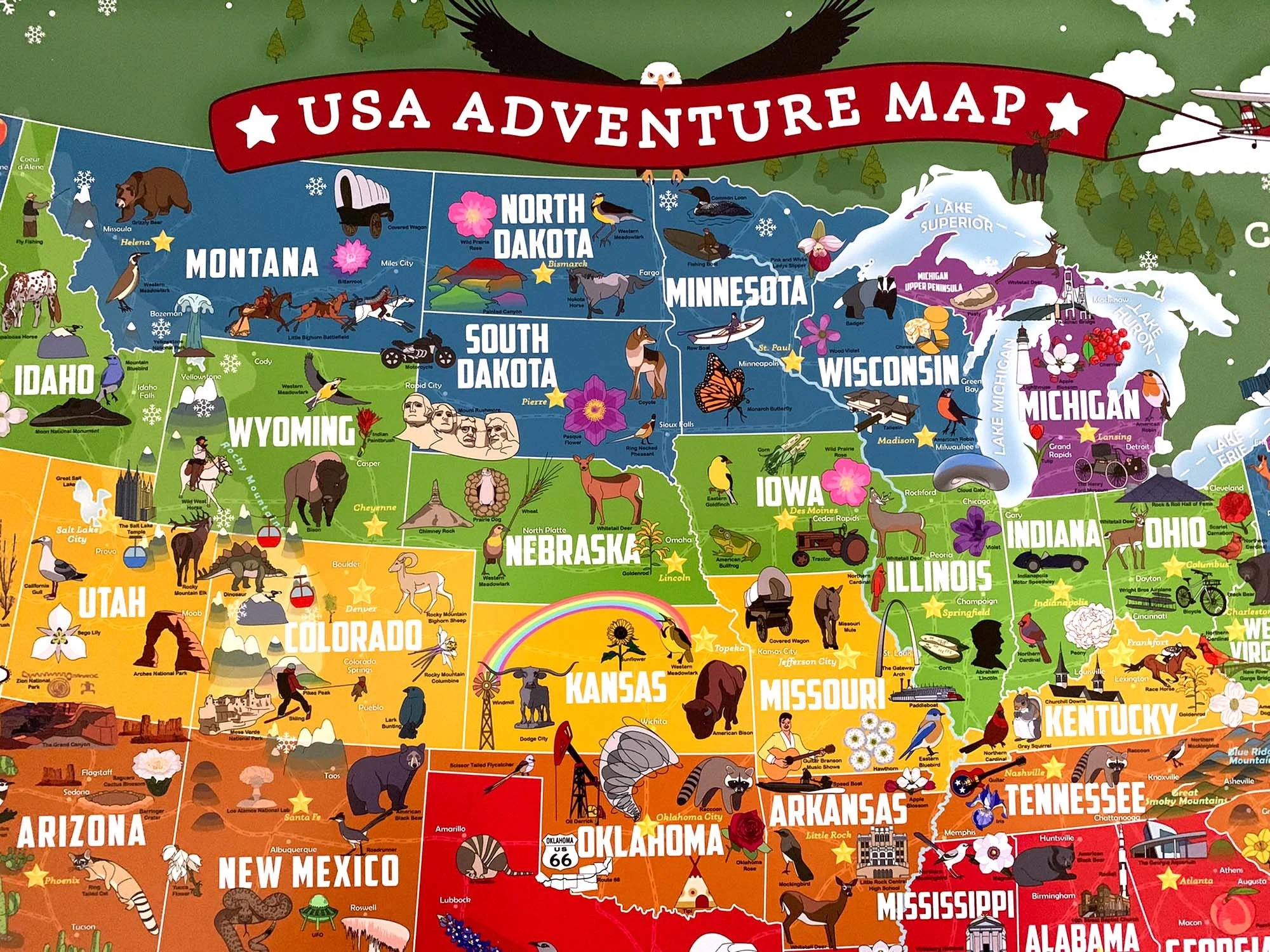 Large Kids USA State Map Colorful And Bright States With Capitals Illustrated Map Educational Map Geography Gift Teachers Student Etsy