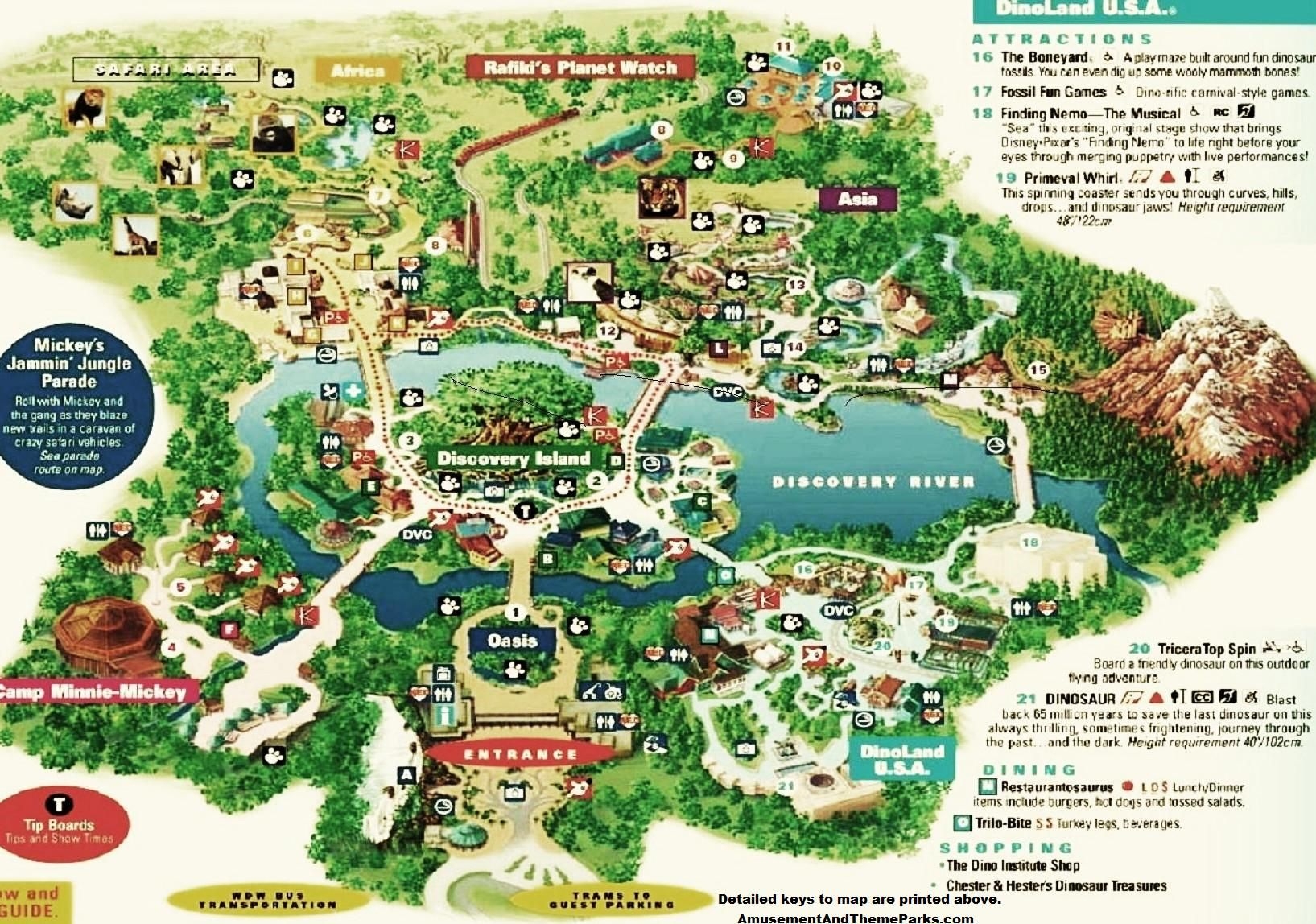 Printable Animal Kingdom Map